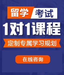 100个操逼视频留学考试一对一精品课